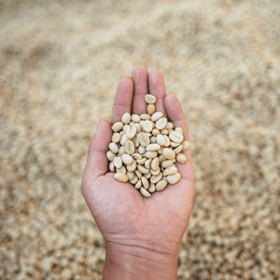 Parchment coffee